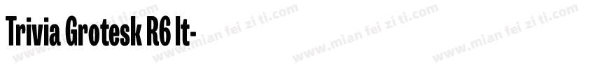 Trivia Grotesk R6 It字体转换